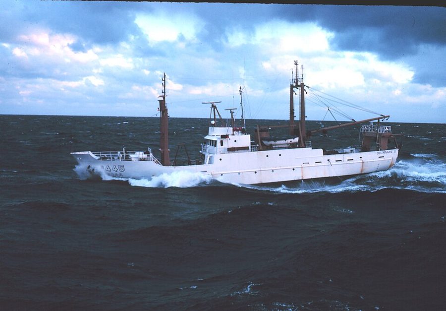 MED SURVEYOR