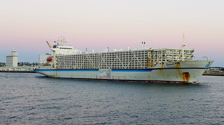 BASHAR ONE TRANSPORT