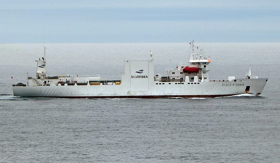 SILVER DANIA