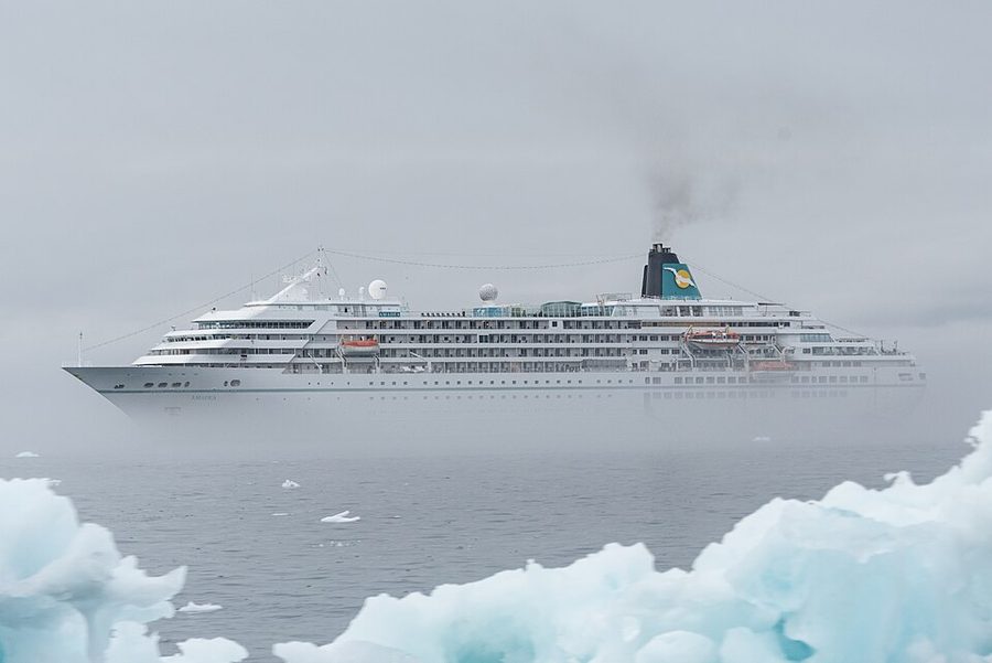 AMADEA