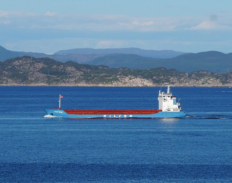 WILSON GIJON