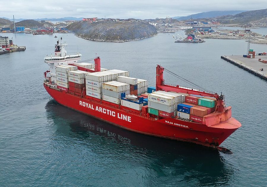 NAJA ARCTICA
