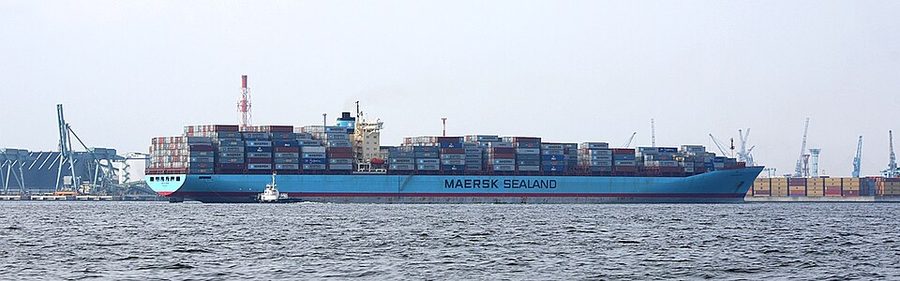 MSC DOMNA X