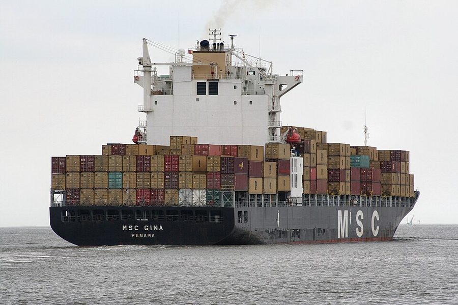 MSC GINA