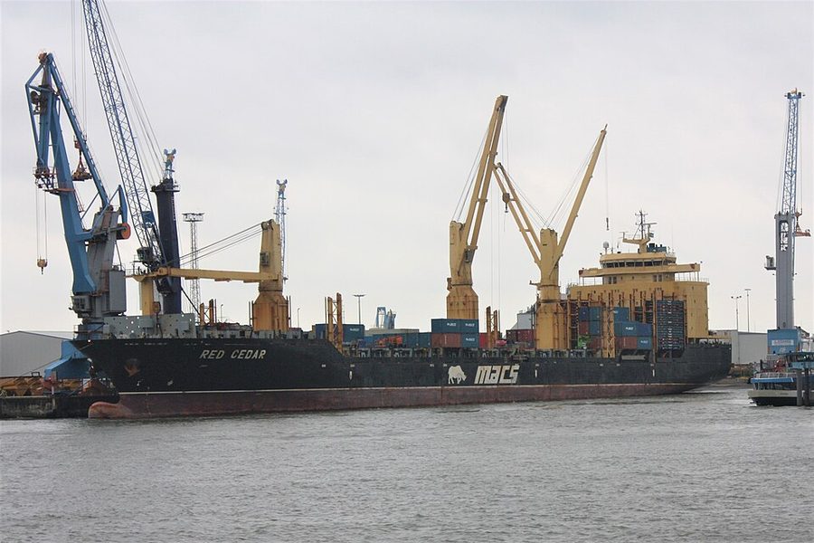 MSC CEDAR II