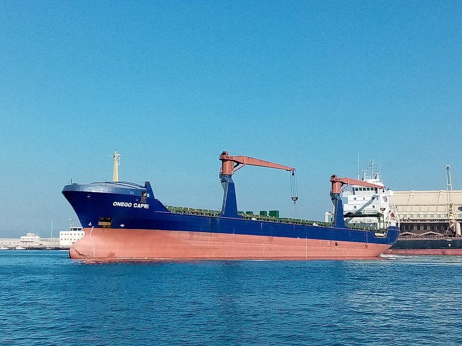ONEGO CAPRI