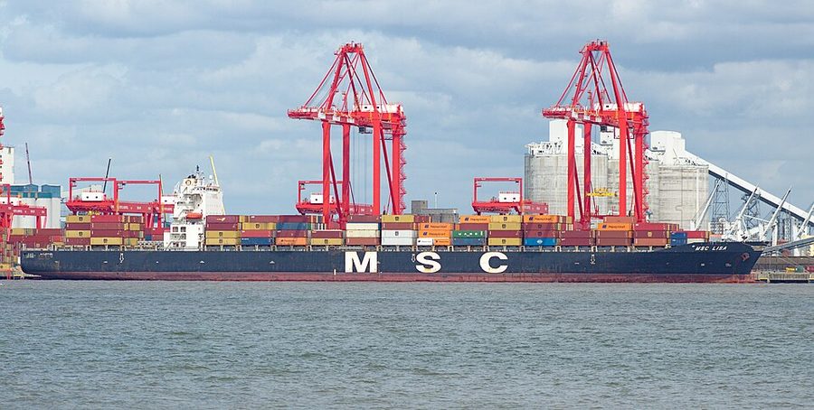 MSC LISA