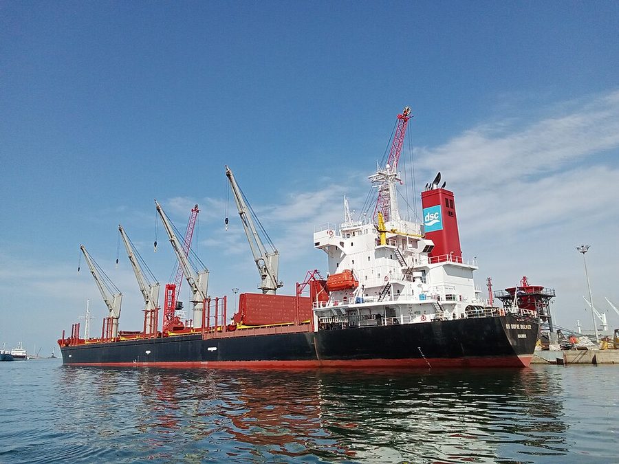 DS SOFIE BULKER