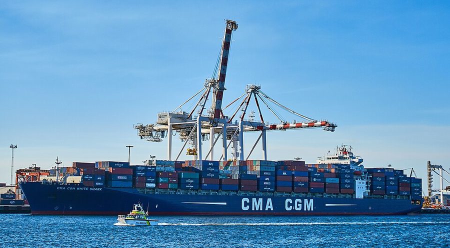 CMA CGM WHITE SHARK