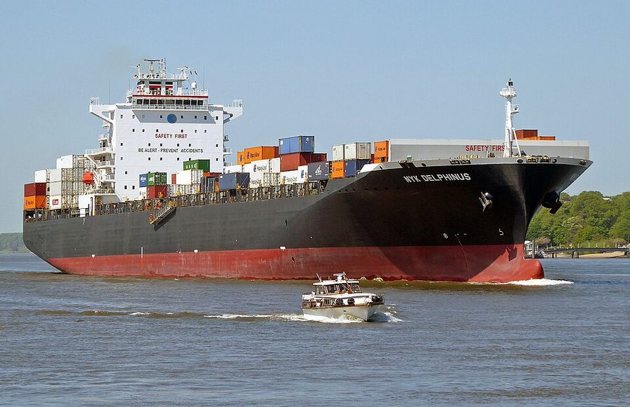 NYK DELPHINUS