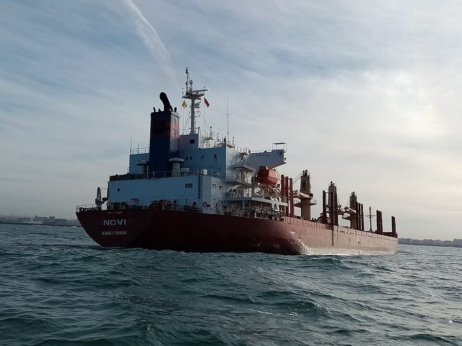 HEDVIG BULKER