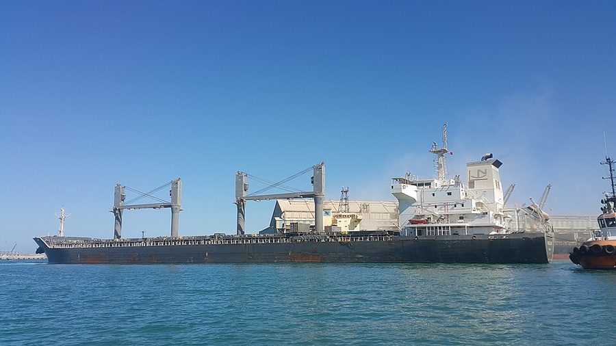 BULKER BEE 30