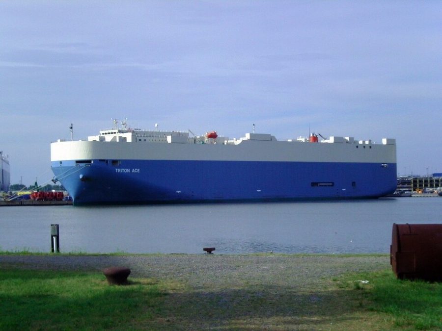 GEMINI LEADER