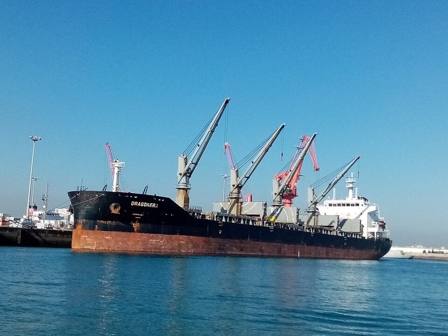 DELPHINUS