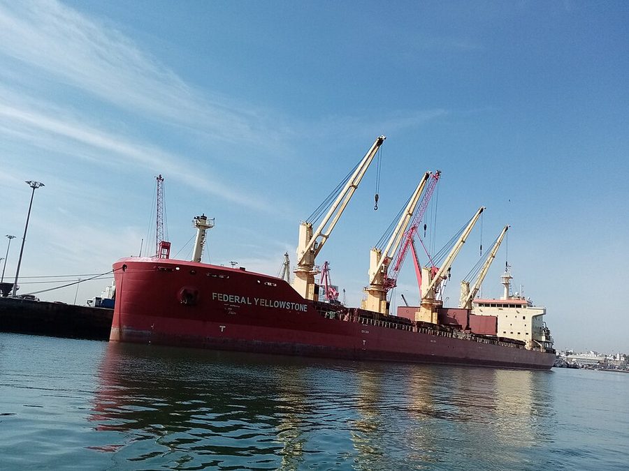 CLIPPER SARA