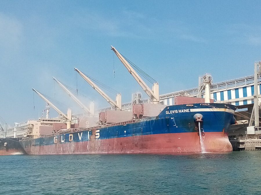 GLOVIS MAINE