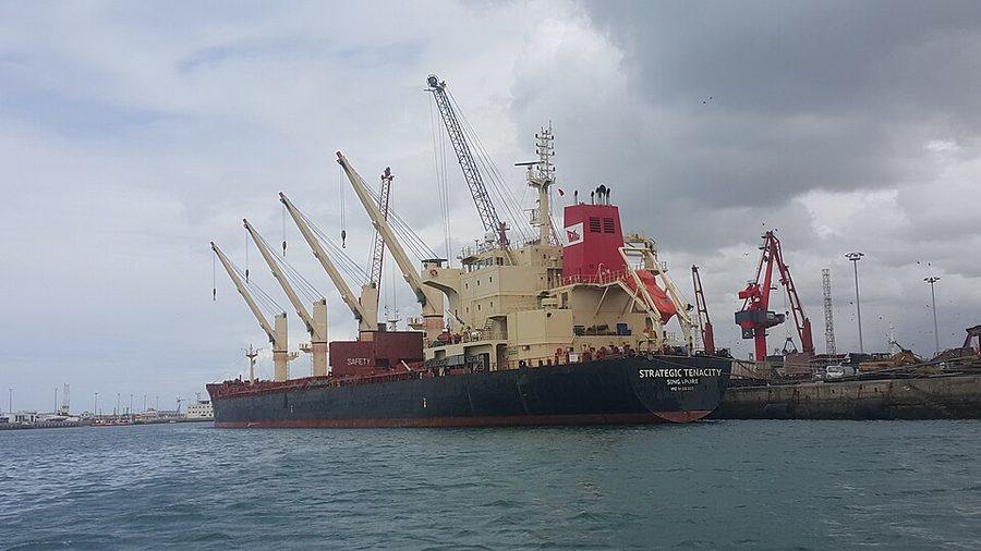 MV STRATEGIC TENACITY