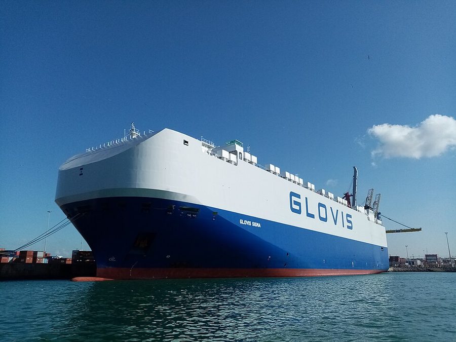 GLOVIS SIGMA