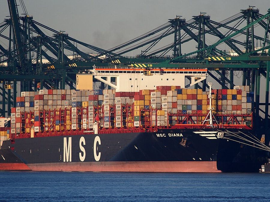 MSC DIANA