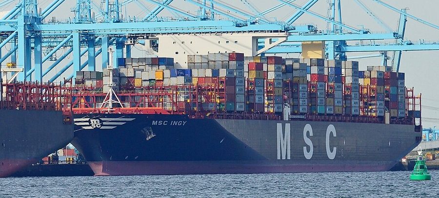 MSC INGY
