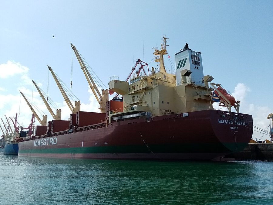 DEVBULK DENIZ