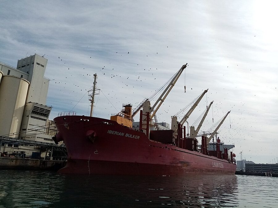 IBERIAN BULKER