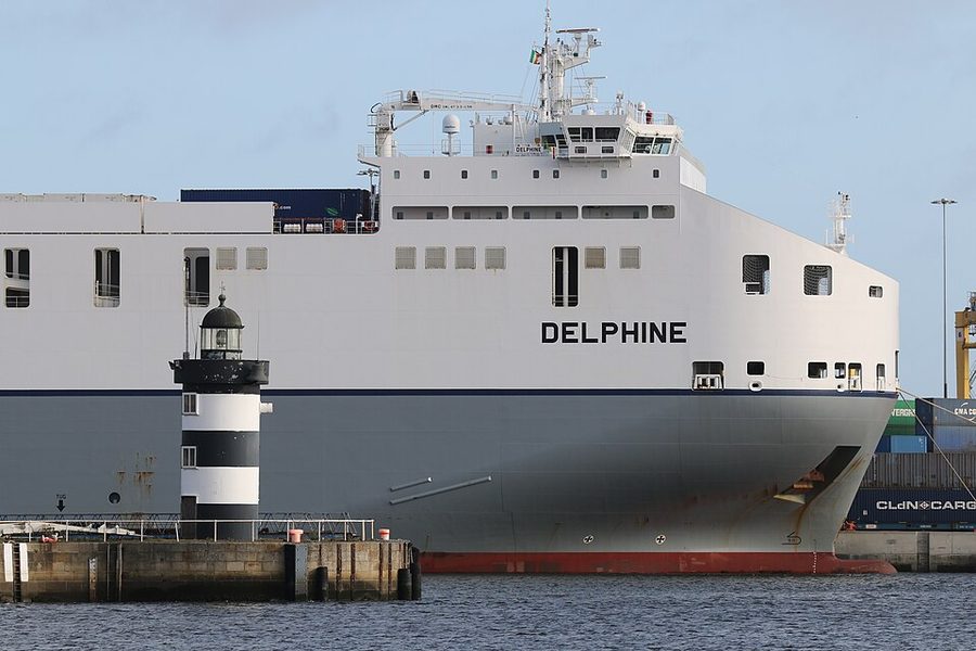 DELPHINE