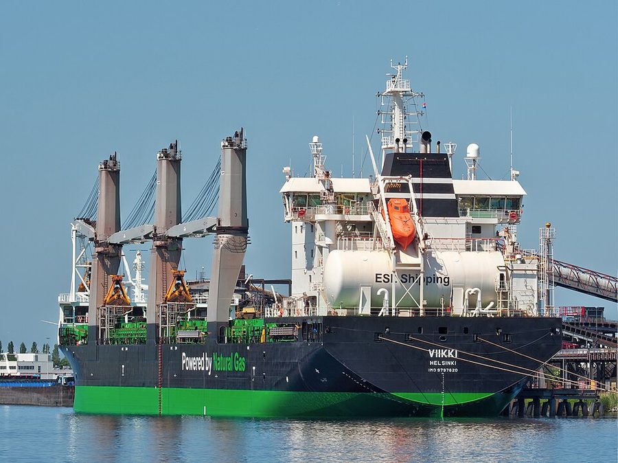 VIIKKI