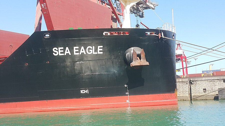SEA EAGLE