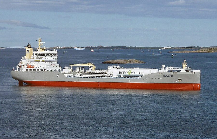 TERN FORS