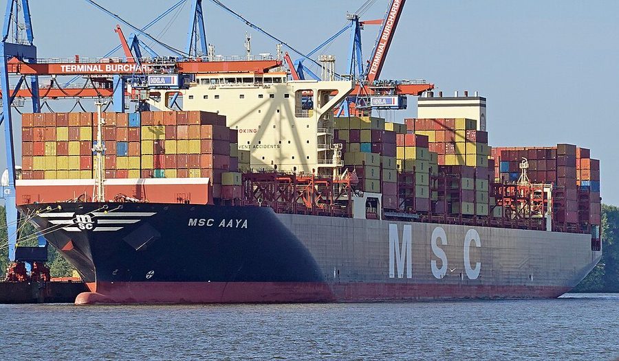 MSC AAYA
